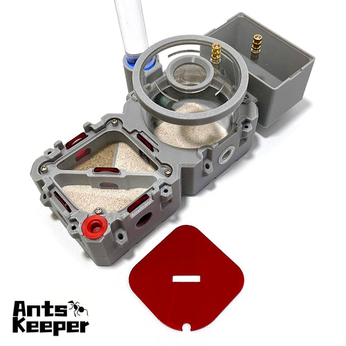 【LEGO-Basic Set】Expandable Modular Ants Farms, Ants Formicaria, Two Chambers with a Separator